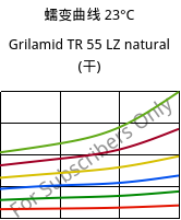蠕变曲线 23°C, Grilamid TR 55 LZ natural (烘干), PA12/MACMI, EMS-GRIVORY