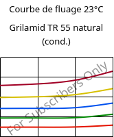 Courbe de fluage 23°C, Grilamid TR 55 natural (cond.), PA12/MACMI, EMS-GRIVORY