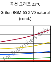 곡선 크리프 23°C, Grilon BGM-65 X V0 natural (응축), PA6-GF30, EMS-GRIVORY