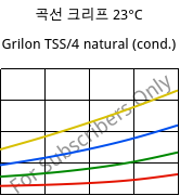 곡선 크리프 23°C, Grilon TSS/4 natural (응축), PA666, EMS-GRIVORY