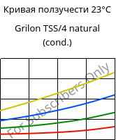 Кривая ползучести 23°C, Grilon TSS/4 natural (усл.), PA666, EMS-GRIVORY