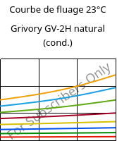 Courbe de fluage 23°C, Grivory GV-2H natural (cond.), PA*-GF20, EMS-GRIVORY