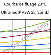 Courbe de fluage 23°C, Ultramid® A3WG5 (cond.), PA66-GF25, BASF