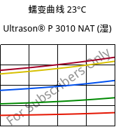 蠕变曲线 23°C, Ultrason® P 3010 NAT (状况), PPSU, BASF