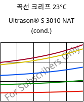 곡선 크리프 23°C, Ultrason® S 3010 NAT (응축), PSU, BASF