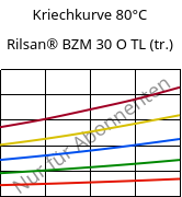 Kriechkurve 80°C, Rilsan® BZM 30 O TL (trocken), PA11-GF30, ARKEMA
