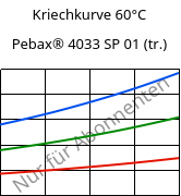 Kriechkurve 60°C, Pebax® 4033 SP 01 (trocken), TPA, ARKEMA