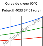 Curva de creep 60°C, Pebax® 4033 SP 01 (Seco), TPA, ARKEMA