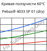 Кривая ползучести 60°C, Pebax® 4033 SP 01 (сухой), TPA, ARKEMA