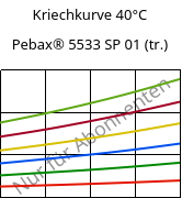 Kriechkurve 40°C, Pebax® 5533 SP 01 (trocken), TPA, ARKEMA