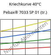 Kriechkurve 40°C, Pebax® 7033 SP 01 (trocken), TPA, ARKEMA