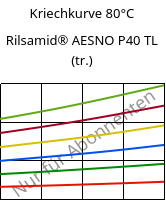 Kriechkurve 80°C, Rilsamid® AESNO P40 TL (trocken), PA12, ARKEMA