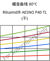 蠕变曲线 80°C, Rilsamid® AESNO P40 TL (烘干), PA12, ARKEMA