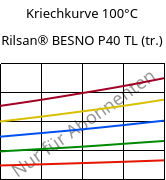 Kriechkurve 100°C, Rilsan® BESNO P40 TL (trocken), PA11, ARKEMA