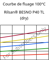 Courbe de fluage 100°C, Rilsan® BESNO P40 TL (sec), PA11, ARKEMA