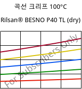 곡선 크리프 100°C, Rilsan® BESNO P40 TL (건조), PA11, ARKEMA