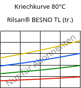 Kriechkurve 80°C, Rilsan® BESNO TL (trocken), PA11, ARKEMA