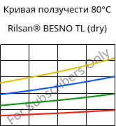 Кривая ползучести 80°C, Rilsan® BESNO TL (сухой), PA11, ARKEMA