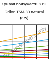 Кривая ползучести 80°C, Grilon TSM-30 natural (сухой), PA666-MD30, EMS-GRIVORY