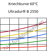 Kriechkurve 60°C, Ultradur® B 2550, PBT, BASF