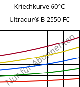 Kriechkurve 60°C, Ultradur® B 2550 FC, PBT, BASF