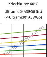 Kriechkurve 60°C, Ultramid® A3EG6 (trocken), PA66-GF30, BASF