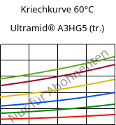 Kriechkurve 60°C, Ultramid® A3HG5 (trocken), PA66-GF25, BASF