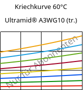 Kriechkurve 60°C, Ultramid® A3WG10 (trocken), PA66-GF50, BASF