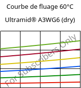 Courbe de fluage 60°C, Ultramid® A3WG6 (sec), PA66-GF30, BASF