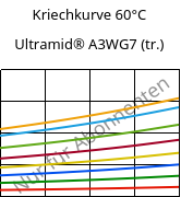 Kriechkurve 60°C, Ultramid® A3WG7 (trocken), PA66-GF35, BASF