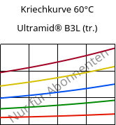 Kriechkurve 60°C, Ultramid® B3L (trocken), PA6-I, BASF