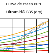 Curva de creep 60°C, Ultramid® B3S (Seco), PA6, BASF