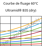 Courbe de fluage 60°C, Ultramid® B3S (sec), PA6, BASF