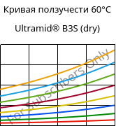 Кривая ползучести 60°C, Ultramid® B3S (сухой), PA6, BASF