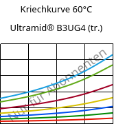 Kriechkurve 60°C, Ultramid® B3UG4 (trocken), PA6-GF20 FR(30), BASF