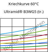 Kriechkurve 60°C, Ultramid® B3WG5 (trocken), PA6-GF25, BASF