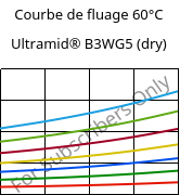 Courbe de fluage 60°C, Ultramid® B3WG5 (sec), PA6-GF25, BASF
