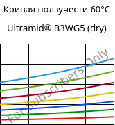 Кривая ползучести 60°C, Ultramid® B3WG5 (сухой), PA6-GF25, BASF