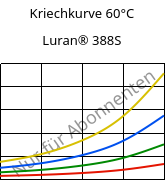 Kriechkurve 60°C, Luran® 388S, SAN, INEOS Styrolution