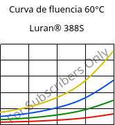 Curva de fluencia 60°C, Luran® 388S, SAN, INEOS Styrolution