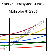 Кривая ползучести 60°C, Makrolon® 2856, PC, Covestro