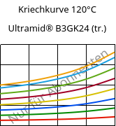 Kriechkurve 120°C, Ultramid® B3GK24 (trocken), PA6-(GF+GB)30, BASF