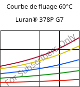 Courbe de fluage 60°C, Luran® 378P G7, SAN-GF35, INEOS Styrolution