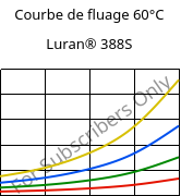 Courbe de fluage 60°C, Luran® 388S, SAN, INEOS Styrolution