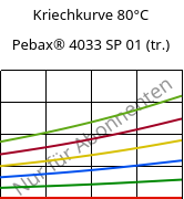 Kriechkurve 80°C, Pebax® 4033 SP 01 (trocken), TPA, ARKEMA