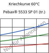 Kriechkurve 60°C, Pebax® 5533 SP 01 (trocken), TPA, ARKEMA