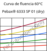 Curva de fluencia 60°C, Pebax® 6333 SP 01 (dry), TPA, ARKEMA