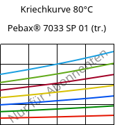 Kriechkurve 80°C, Pebax® 7033 SP 01 (trocken), TPA, ARKEMA