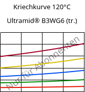 Kriechkurve 120°C, Ultramid® B3WG6 (trocken), PA6-GF30, BASF