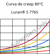 Curva de creep 80°C, Luran® S 776S, ASA, INEOS Styrolution